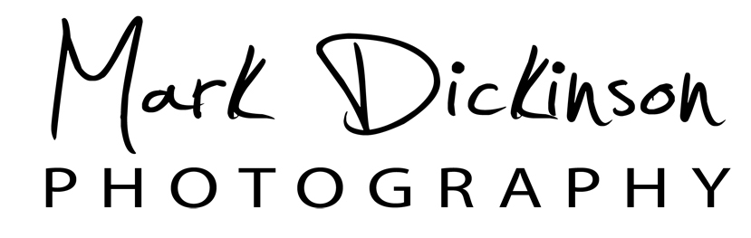 Mark Dickinson | Central Florida Photographer Serving Daytona Beach, Orlando, Lake Mary areas logo