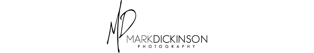 Mark Dickinson | Central Florida Photographer Serving Daytona Beach, Orlando, Lake Mary areas logo