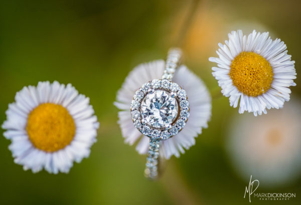 Engagement ring balancing on delicate flowers