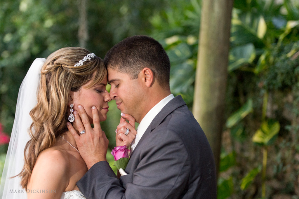 Bride groom about to kiss